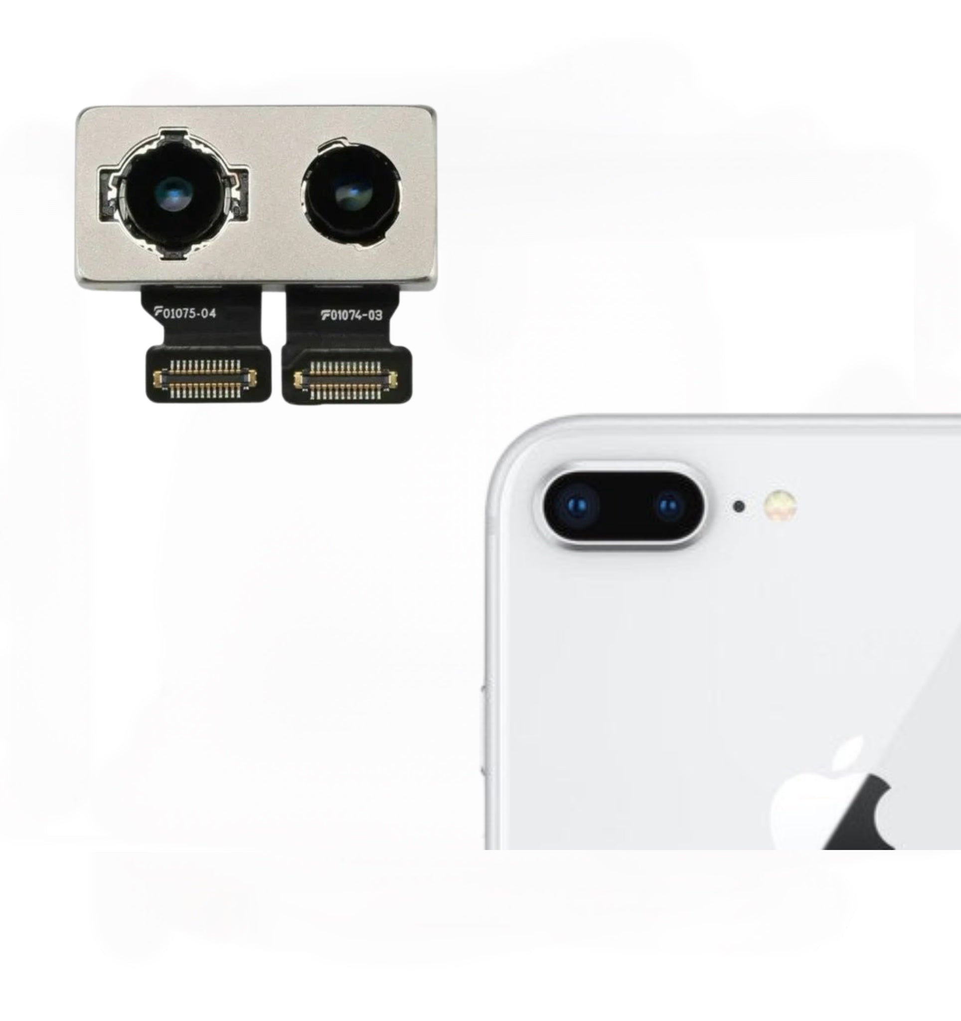 Cámara Trasera iPhone 8 Plus