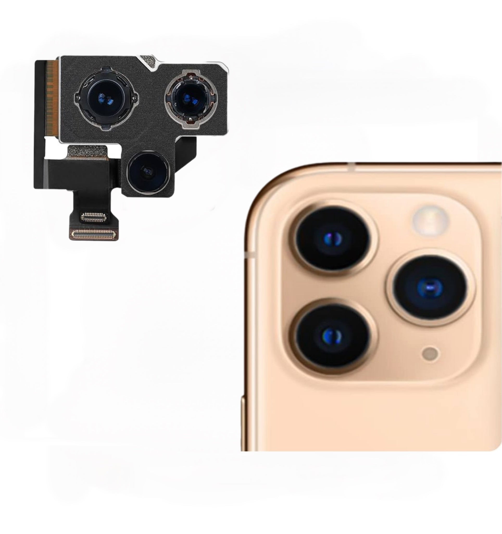 Cámara Trasera iPhone 12 Pro Max